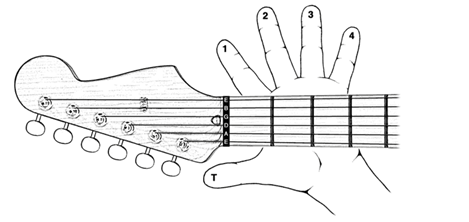 Fingers for guitar