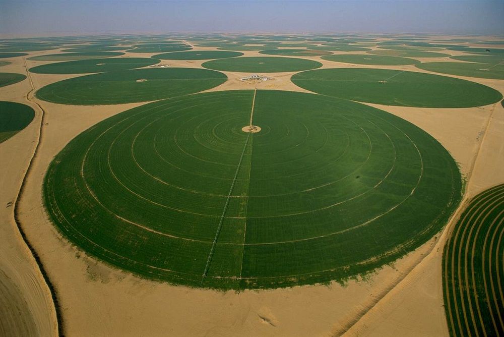audi Arabia Desert Fields