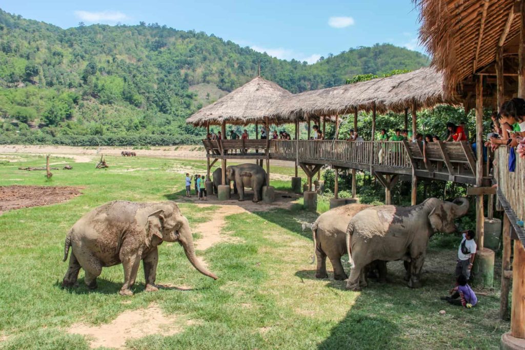 Elephant Nature Parks