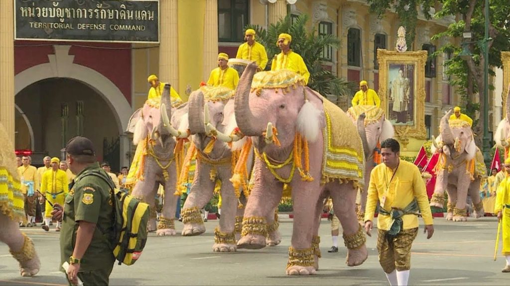 Elephants in a Parade