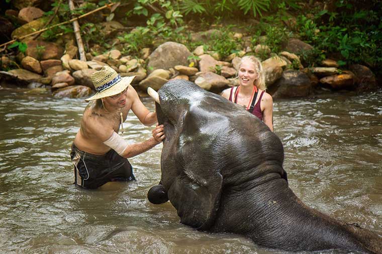 Thailand Elephants Bathing with Tourists