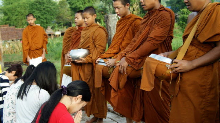 Thai Novice Monks
