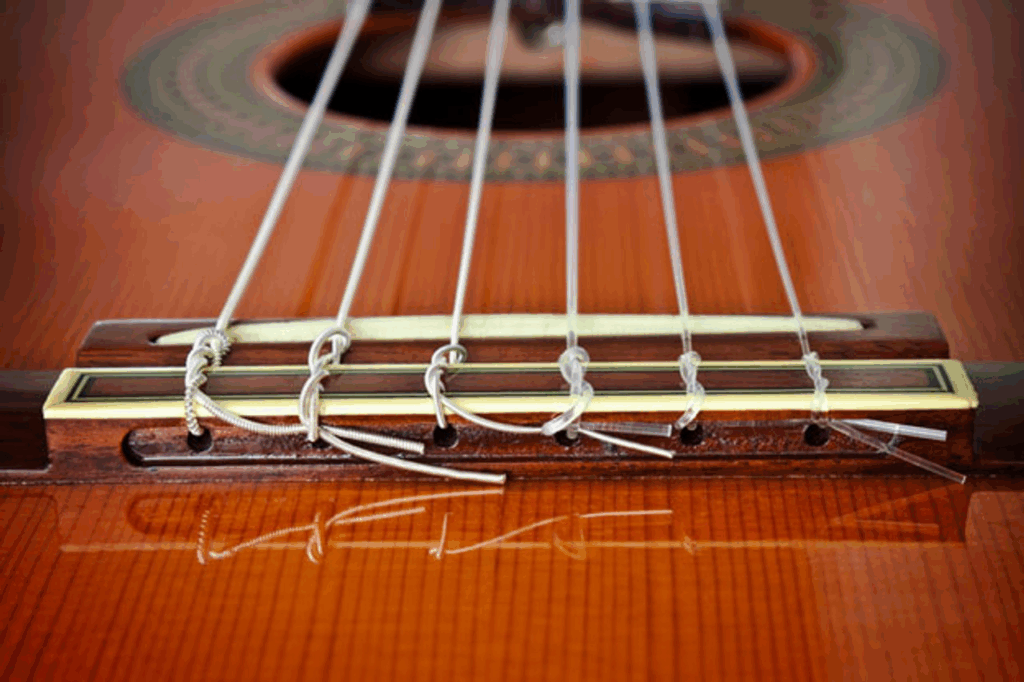 Acoustic Guitar Gut Strings